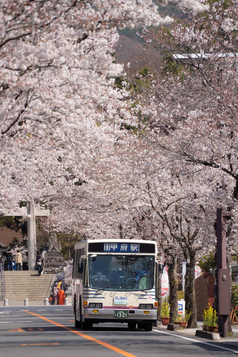 ふのひと 今日はバスを撮りに武田神社まで行ってきました 期せずしてc654も入ってくれて良かったです 山交カラーと国際カラー どちらも桜が似合う良い色だなと思いました ふのひと 今日はバスを撮りに武田神社まで行ってきました 期せずしてc654も入ってくれて良かったです 山交カラーと国際カラー どちらも桜が似合う良い色だなと思いました