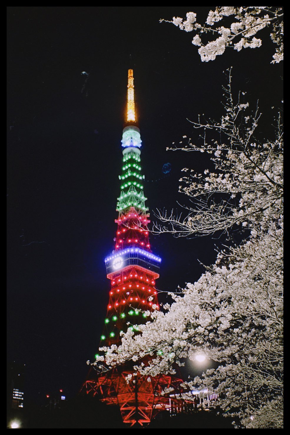 Amazon.co.jp: 東京タワー in my room （インマイルーム