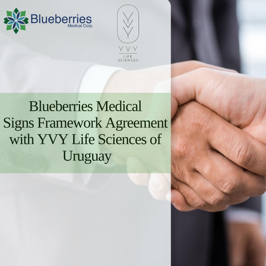 BlueberriesMed's tweet photo. Blueberries Medical Signs Framework Agreement with of YVY Life Sciences of Uruguay. 
Click the link ➡️ https://t.co/ggLcgIyKD5

#medicalcannabis #wellness #cannabisnews #cannabiseducation #cbd #medical  #cannabis #blueberriesmedical #agreements #yvylifesciences https://t.co/ve6BNzkVIq
