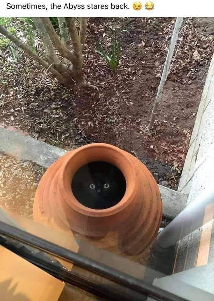 Atarla's tweet photo. When someone looks into my soul. https://t.co/JjjFgouQgq