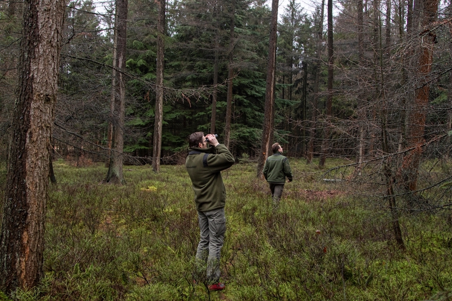 We hebben een #vacature voor een teamleider die zich samen met het beheerteam inzet voor het beschermen, beleven en benutten van natuurgebieden en cultureel erfgoed op de Veluwe. bit.ly/3tWdzmn