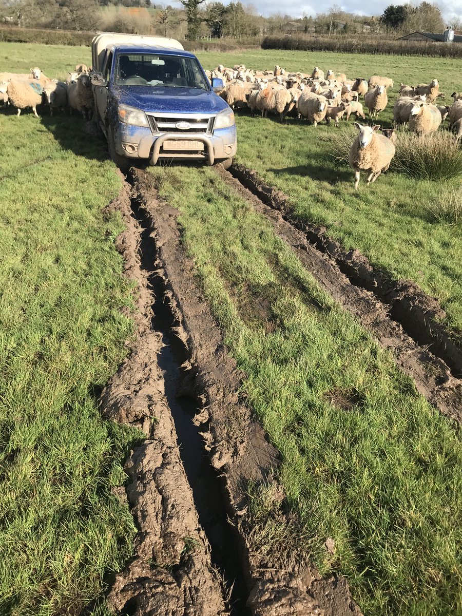 When your a grown man and you still have to ring dad for help!! 🤦