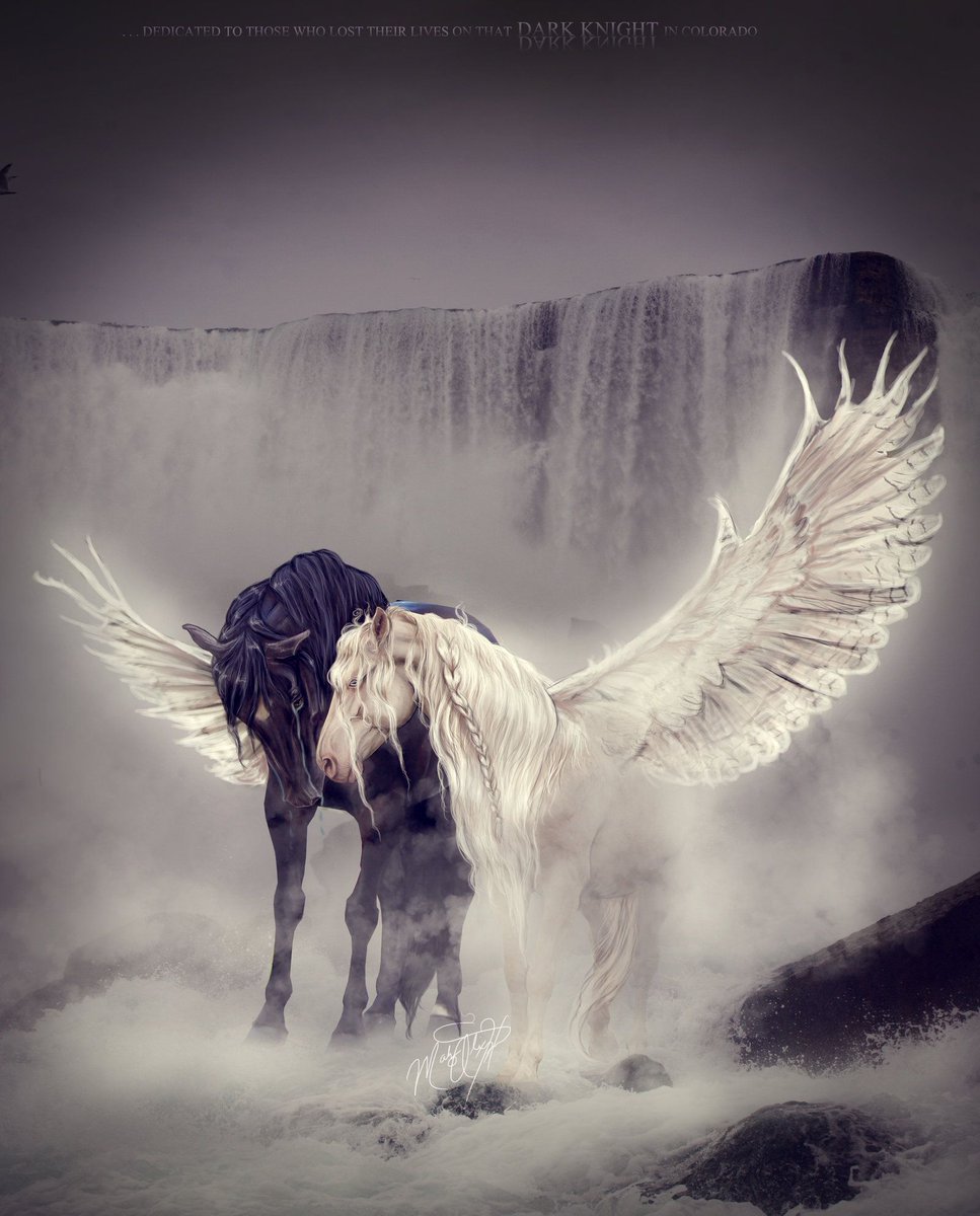 IanWings's tweet photo. Wishing you love, strength and moments of joy to get you through the day https://t.co/ssfiaC8DGZ