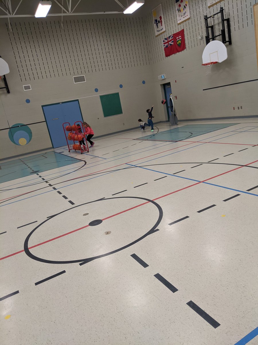 Kinder_Bears's tweet photo. We are doing different centres in the gym today! So much fun. https://t.co/BYPtxSSC2W