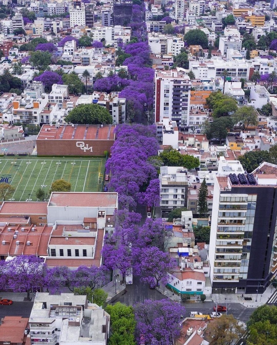 Ludvick6's tweet photo. Purple city π #2k21 #FamousForCare #FamousForCareers #TeamOfExpert #livepurple #livemetro #TMobile #MetrobyTmobile #WeWontStop @MetroByTMobile #Youwontbeatus #outbreak #loyalty #family #Leadership #wearemetro ππΏππ»π https://t.co/XDb7puwYdg
