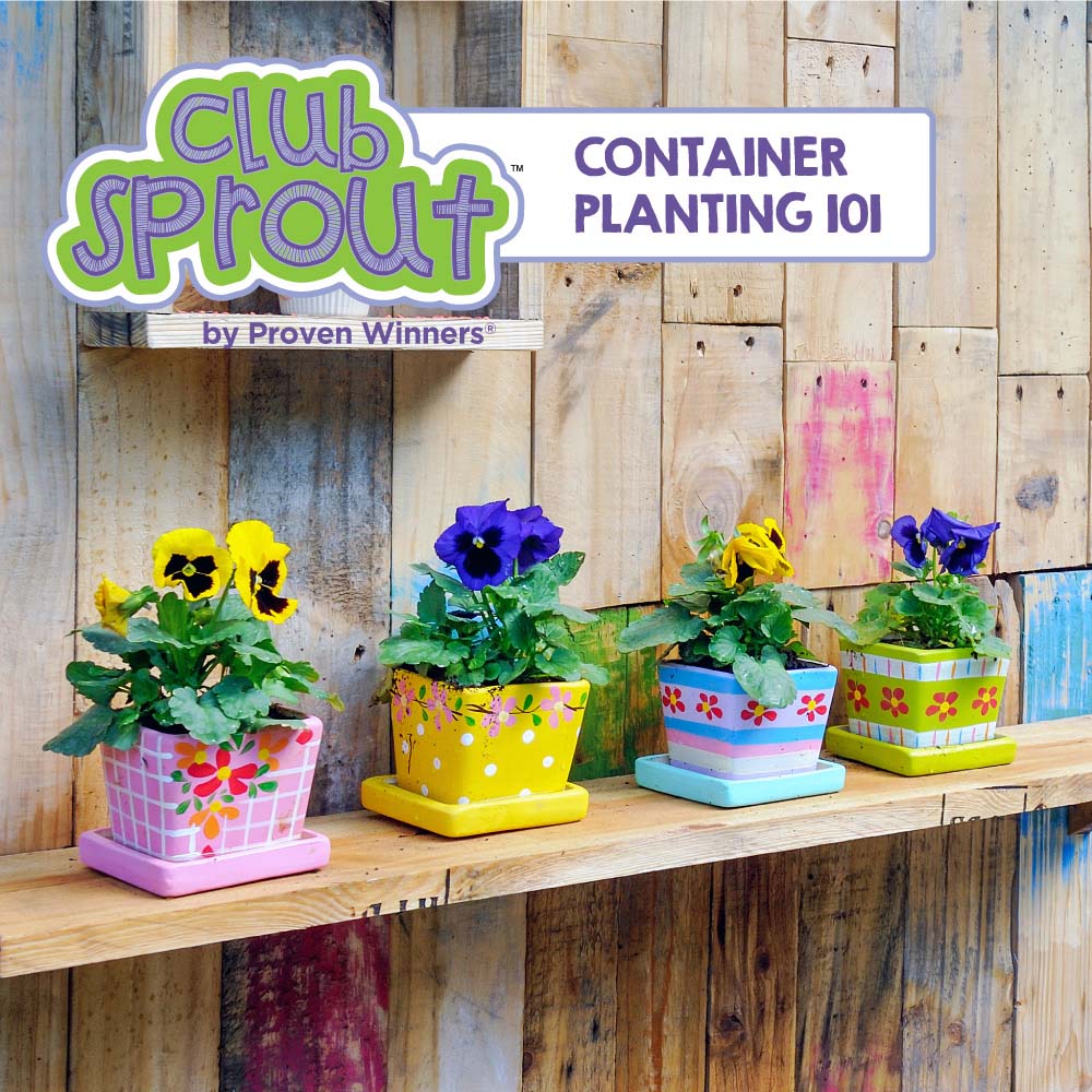 EvergreenGenes's tweet photo. Now that the weather is getting warmer it’s time to get your gardens and planters ready for new plants. If you use containers this is a fun project for the kids to get creative and add some fun to the garden!
https://t.co/t4B3kaMv1Y
#familyowned #evergreengenes #SmallBusiness https://t.co/OAypylJ5ON