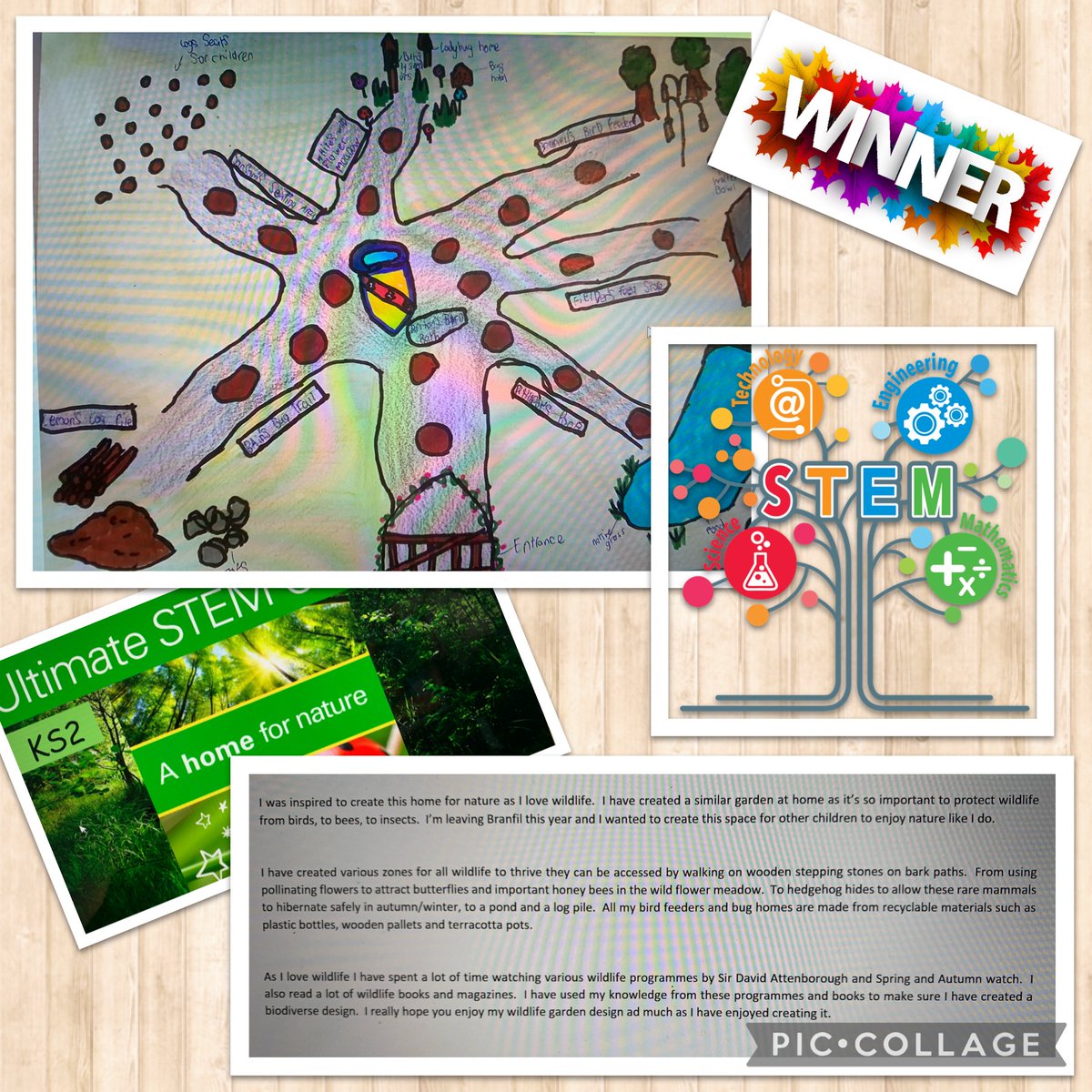 BranfilPrimary's tweet photo. Well done to our fantastic STEM Challenge winner! A thoughtful and detailed plan to improve biodiversity at Branfil! #BranfilSTEM #BranfilValues #BVUnderstanding https://t.co/VueksgmEg0