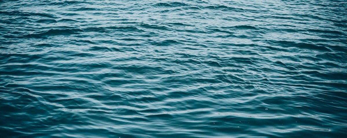 CommsINC's tweet photo. New research says preserving more of the worldβs waters would lead to healthier #marinelife, better fishing and increased carbon absorption, and provide a solution to #climatechange. Read more: https://t.co/pNwOAbLh9v via @washingtonpost #oceanprotection #EnviroComms https://t.co/GwPmq2MFEq
