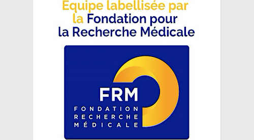 InstitutCochin's tweet photo. Deux équipes @InstitutCochin reçoivent le label de la Fondation pour la Recherche Médicale en 2021.
Félicitations aux équipes dirigées par Carole Peyssonnaux et Bruno Lucas https://t.co/nePfGCtCwz