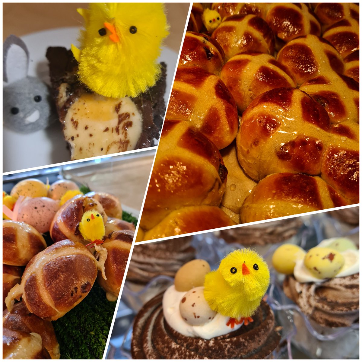 PangCollFood's tweet photo. Cheeky chick photobombing Easter @PangColl @HolroydHowe @NSkevington75 #eastertreats https://t.co/1tTP3CDN6y