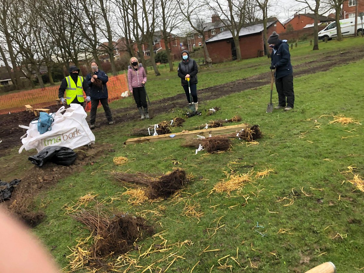 DiscoverDearne's tweet photo. 600 trees 6 soggy people 2 hours-and a Tiny Forest is born! With @DearneAreaTeam &amp; volunteers we dug hard to create Brick Yard Ponds Tiny Forest in Goldthorpe for @AstreaDearne &amp; the community learn about trees &amp; climate change. @earthwatch_org  @BarnsleyCouncil @BarnsleyMuseums https://t.co/3iWOhlf88e