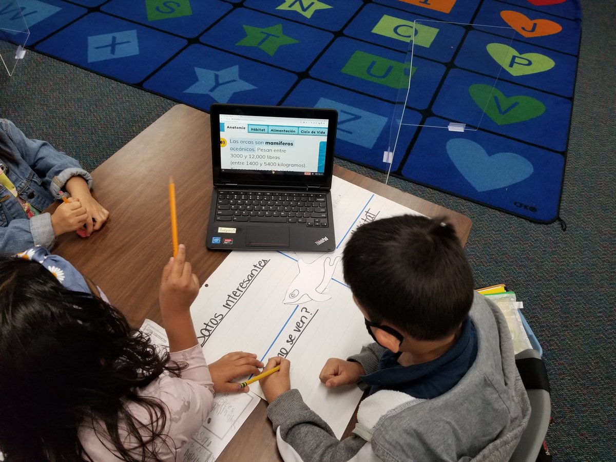 akemper17's tweet photo. Very proud of my Kindergarteners and their animal research posters.  We truly enjoyed learning about our animals!! @GR_Houston, @CFISDELs, @CFISDPost, #bloomingpatriots https://t.co/opKJi0oEZn