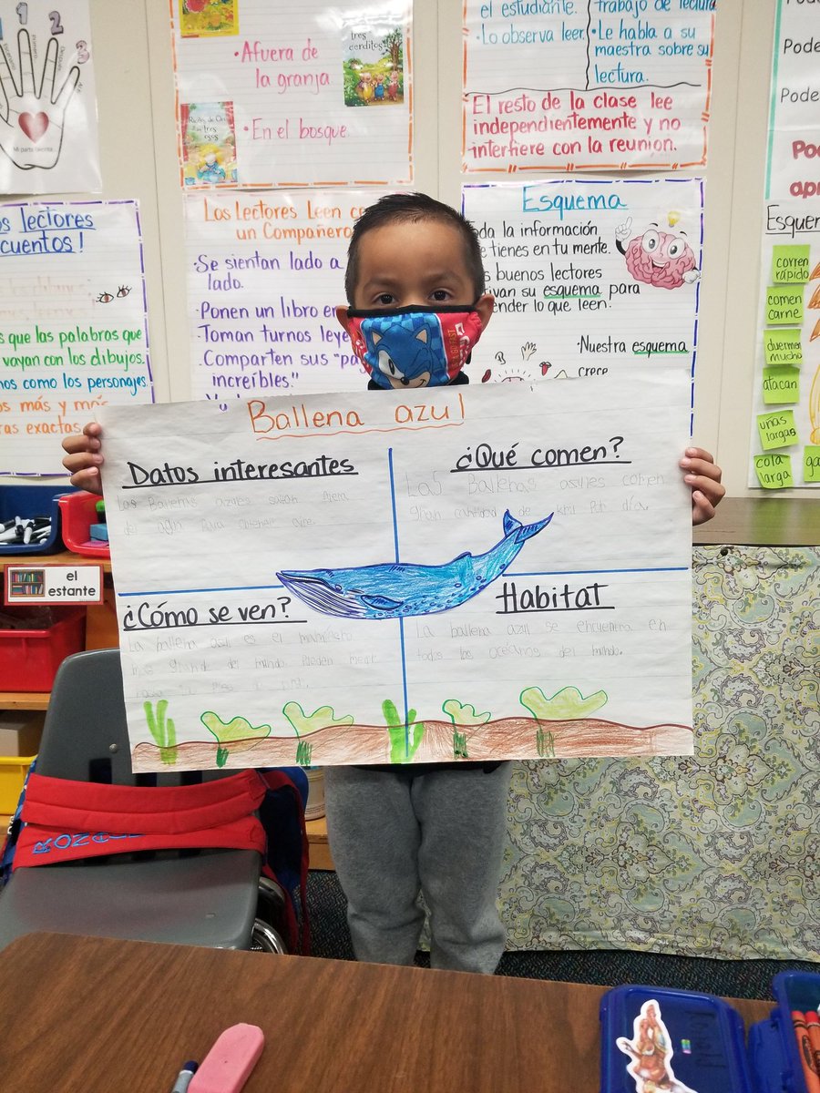 akemper17's tweet photo. Very proud of my Kindergarteners and their animal research posters.  We truly enjoyed learning about our animals!! @GR_Houston, @CFISDELs, @CFISDPost, #bloomingpatriots https://t.co/opKJi0oEZn