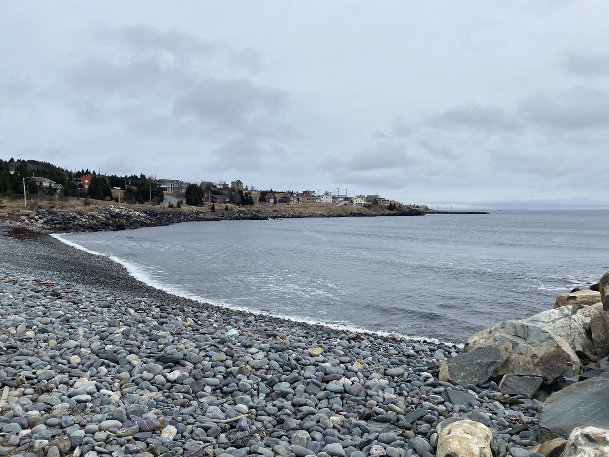 justcauseitsmoi's tweet photo. How can you not sit and enjoy the view #witlessbay #newfoundland #southernshore https://t.co/YVFLfcCg9A