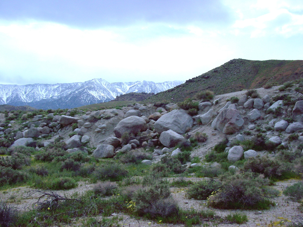 USGS_Quakes's tweet photo. One of the most dramatic fault scarps in California is along the Owen's Valley fault, which hosted one of the State's largest historical earthquakes on 26 March 1872, 149 yrs ago today.  Fault motion was mostly horizontal, w/ a small component of vertical motion #FaultFriday https://t.co/qPVnwkOWLx
