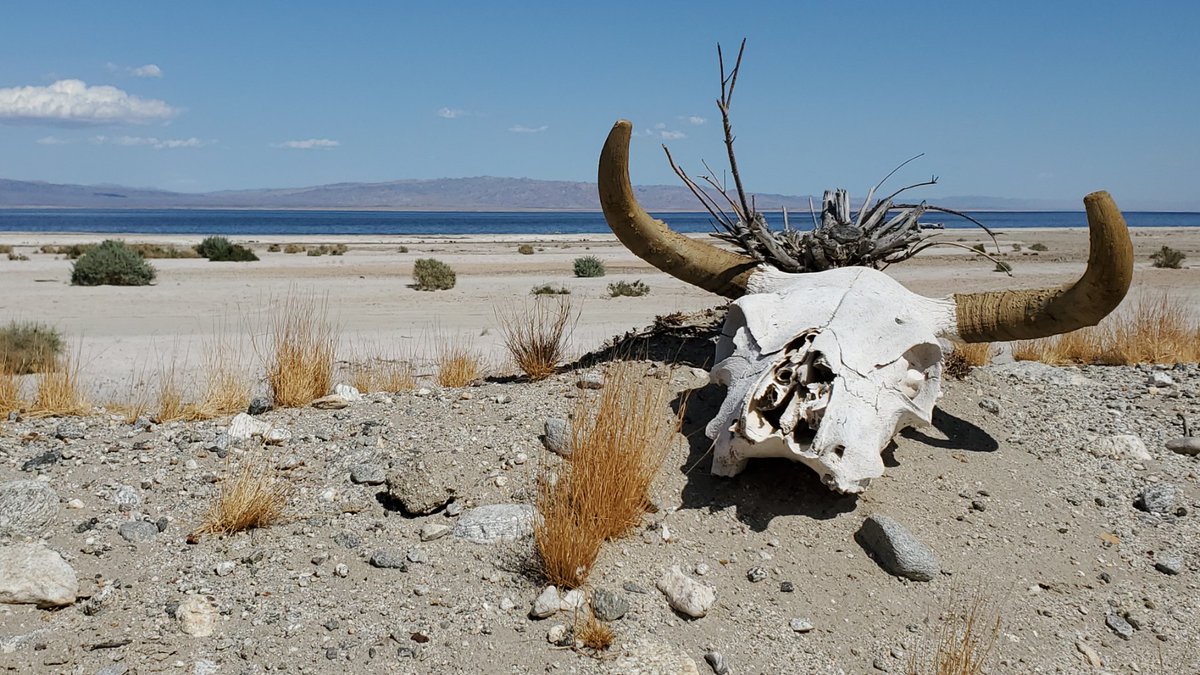 Moin! New day, new life!

How are you #cryptoart freaks and #NFT junkies doing today? 

We were busy this week, new #drop coming this weekend. 

While we apply finishing touches, use this thread to spread your art and love.

Carpe diem. Memento mori.