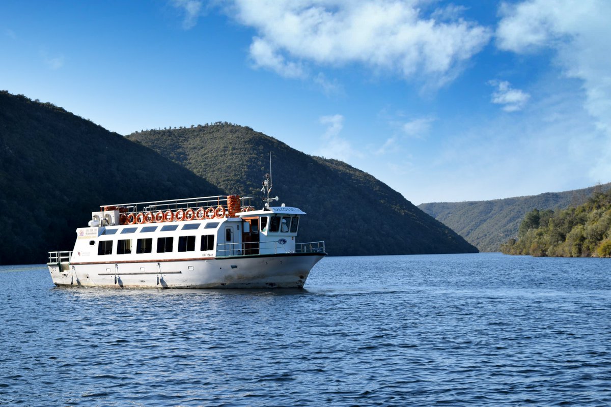 🛳🛳𝑵𝑨𝑽𝑬𝑮𝑨 𝑬𝑵 𝑬𝑿𝑻𝑹𝑬𝑴𝑨𝑫𝑼𝑹𝑨🛳🛳
Hola amig@s, os dejamos nuestro 𝗗𝗶𝗮𝗿𝗶𝗼 𝗱𝗲 𝗮 𝗯𝗼𝗿𝗱𝗼 con las salidas previstas en los  próximos 15 días:
barcodeltajo.com/reservas

+ info: 680 554 146

#Extremadura #caceres #BarcoDelTajo #ProvinciadeCaceres #teesperamos