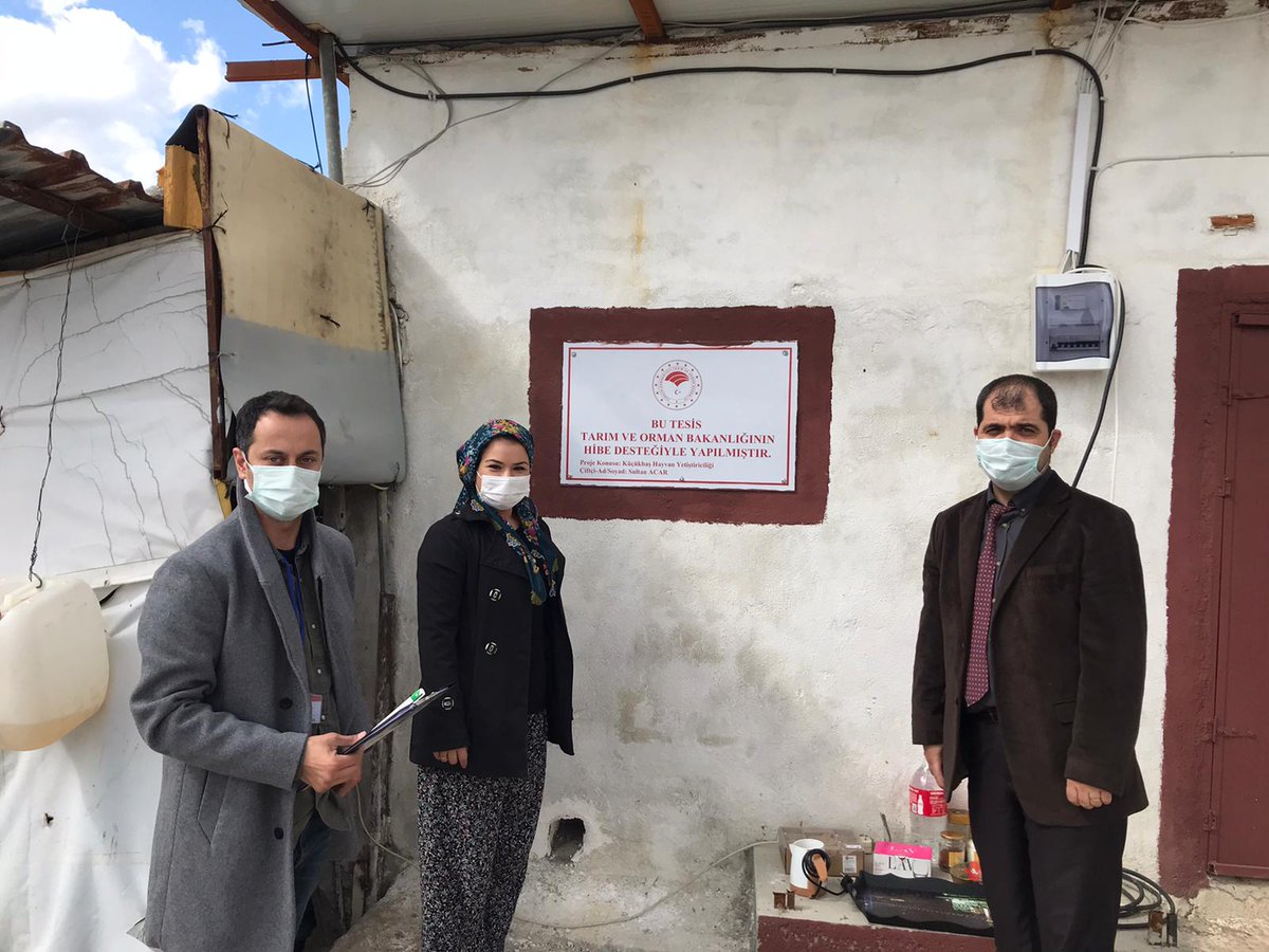 KemalpasaTarim's tweet photo. #SultanAcar #Bayanüreticimiz #uzmanellerprojesi ile #TarımOrmanBakanlığı mızdan 50 Adet #Küçükbaş #merinos ve #kıvırcık cinsi #koyundesteği alarak kurulan işletmemizi ziyaret ederek.Hayırlı olsun temennilerimizi iletirken,#Sertifikasını da kendisine takdim ettik#uzmanellerprojesi https://t.co/Hh6Uz32t2F