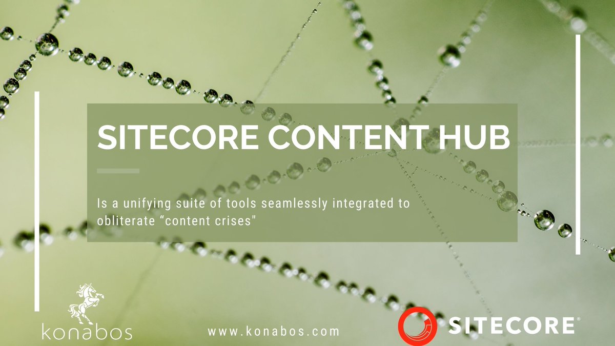 Solve your content crisis through 'Sitecore Content Hub'. Read More: bit.ly/3aZtERT

#Sitecore #SitecoreContentHub #Sitecore10 #digitalmarketing #brandmanagers #contentmanager #CIO #CMO #cmos #ithead