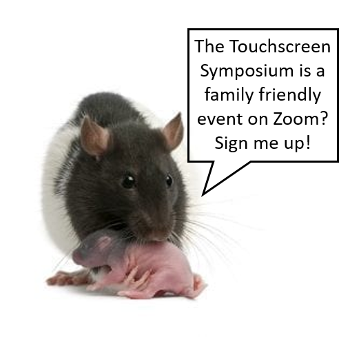 TouchScreenCog's tweet photo. Did you know we will have a #TechnicalForum at the #TSSymposium2021 with four parallel topics?  

@skirzmi and @dysonsphere will be co-hosting  &amp; co-facilitating a session on combining neuro+TS tech.  

Get excited to discuss, ask and answer questions!

https://t.co/WoxrJ6CguG https://t.co/2ZkQqOgvqx