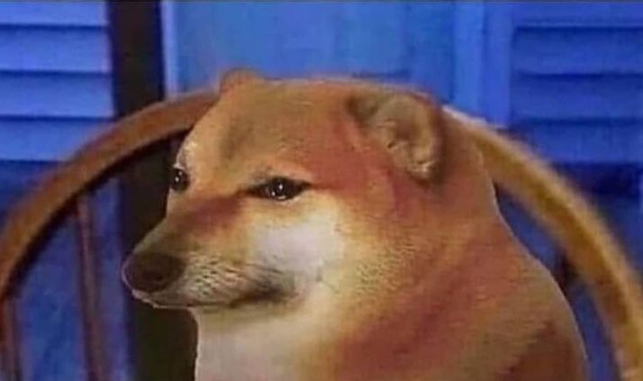 RossGil48443244's tweet photo. i need dogecoins to be happy😥😥: DJe9WDZqPrcgd65XWhxqb5ThSDszxvki6T https://t.co/dqqbiGcHpM
