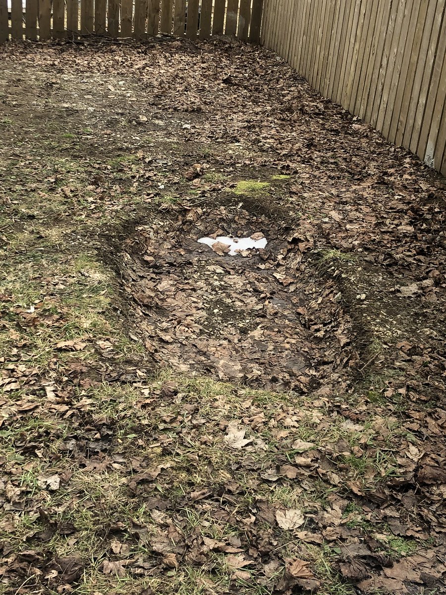 mackaydl's tweet photo. Just posting this pic of our new backyard in case it’s ever needed for like evidence or something??? 😂⚰️ https://t.co/HbpJX1emGG