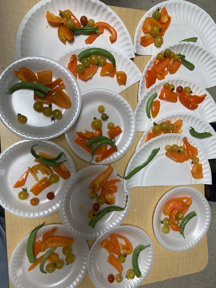 palms_west's tweet photo. 1st grade has been hard at work growing their vegetable garden this year and it's paid off! @CSUSAhq @drdchristiansen @EddieRuiz531 @galatop1 #PalmsWestCharter #CSUSAProud #WhereGreatHappens #GrowingLeaders #OneTeamOneFight #HomeLearning #Gardening https://t.co/JFH1lpmQcl