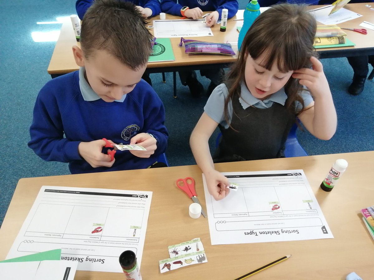 TarvinPrimary's tweet photo. Lewis class learnt all about animal skeletons in Science today. Excellent sorting and discussions. #animalskeletons #Tarvinscience https://t.co/gBljGla8oS