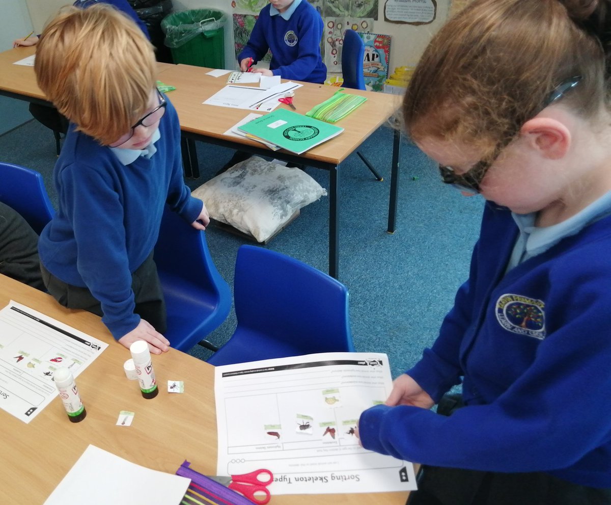 TarvinPrimary's tweet photo. Lewis class learnt all about animal skeletons in Science today. Excellent sorting and discussions. #animalskeletons #Tarvinscience https://t.co/gBljGla8oS