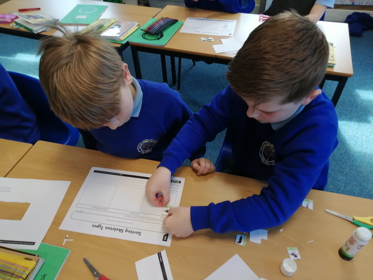 TarvinPrimary's tweet photo. Lewis class learnt all about animal skeletons in Science today. Excellent sorting and discussions. #animalskeletons #Tarvinscience https://t.co/gBljGla8oS