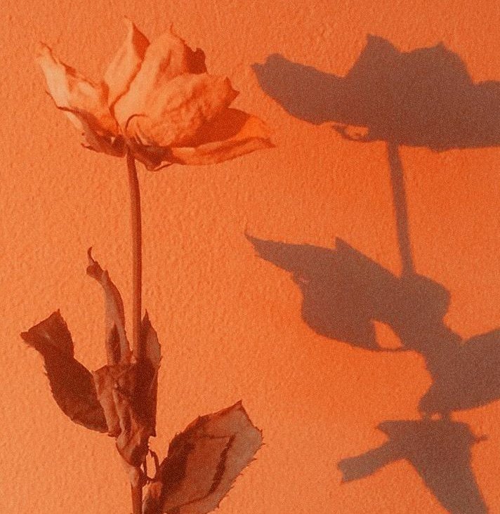 _iamfallenangel's tweet photo. 🧡 Цепочка твиттерских на 600 читателей 🧡

с тебя: 

 🍉читай меня (#взаимно)
🍉делай ретвит. 
🍉читай ретвитнувших.
🍉 будь взаимным.
🍉 радуйся новым читателям.

#цепочкатвиттерских 
#цепочкафолловеров
#взаимнаяподписка 
#взаимныйфолловинг https://t.co/cWsgLpNIsR