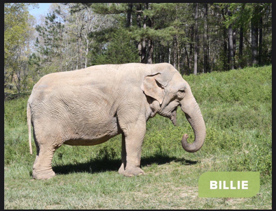 Ms. Gappa tweet media