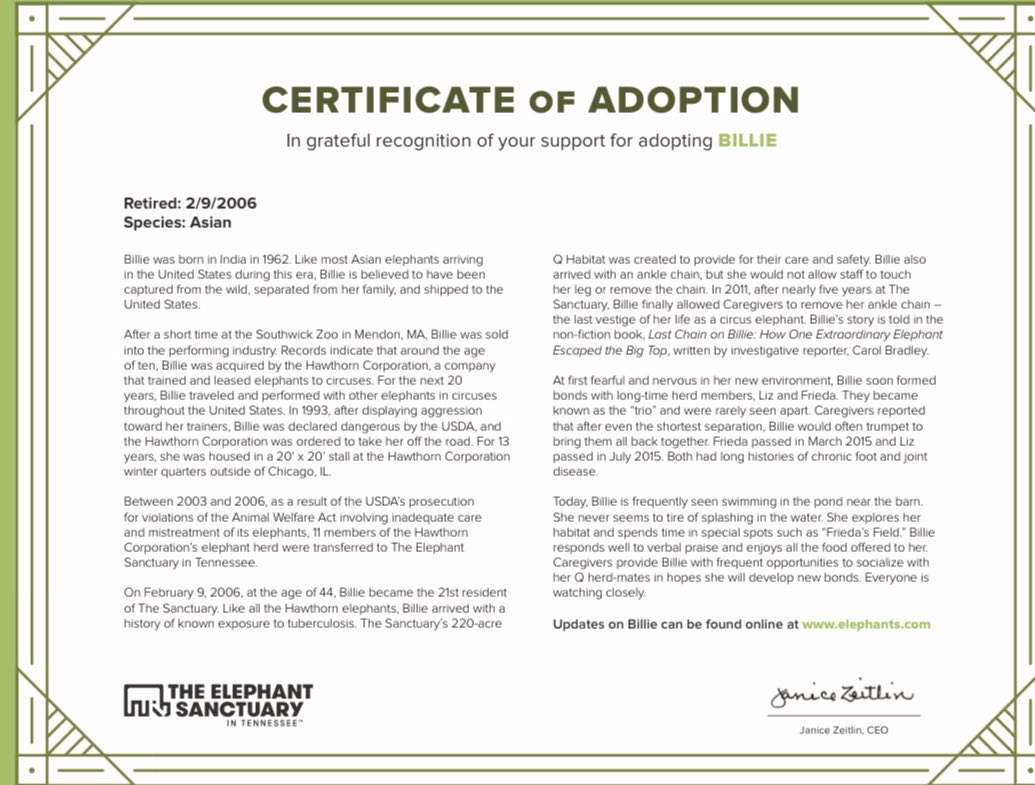 Meet Billie, she is an Asian elephant who has retired to the Tennessee Elephant Sanctuary! We adopted her yesterday and My class is estatic! <a href="/ElephantsTN/">The Elephant Sanctuary</a> <a href="/JMDragons5/">John Marshall School</a>