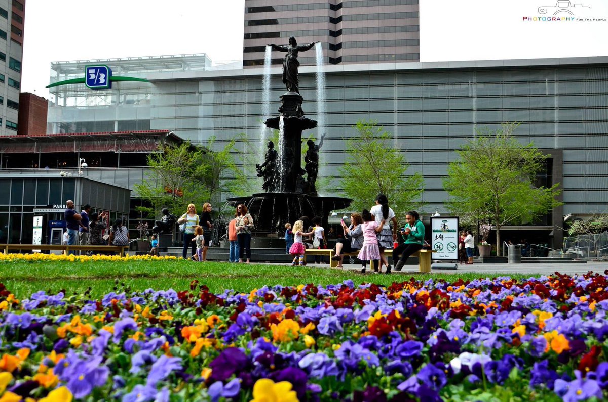 Art on Vine tweet media