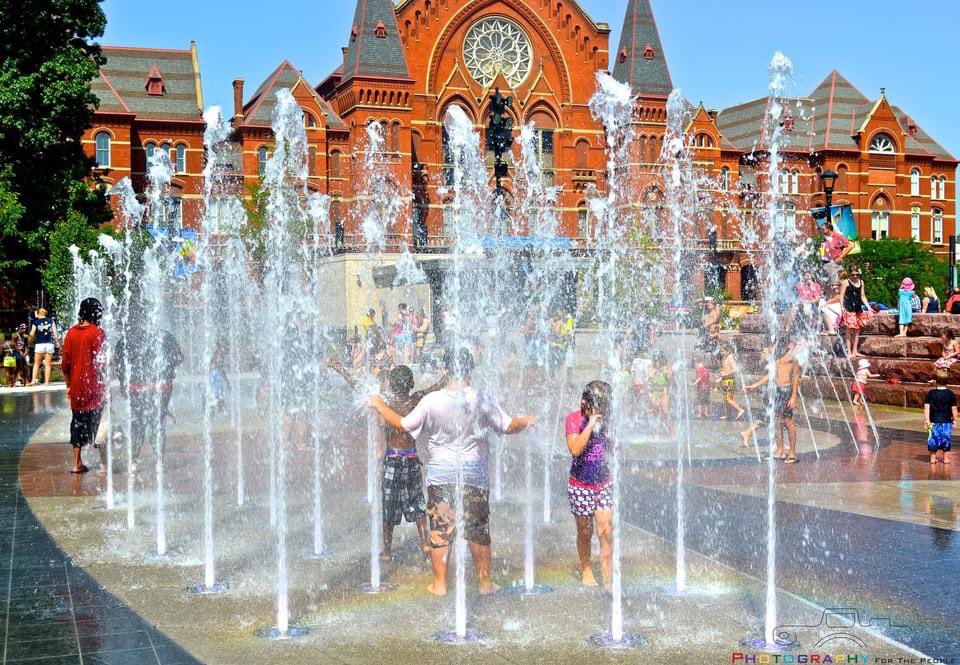 Art on Vine tweet media