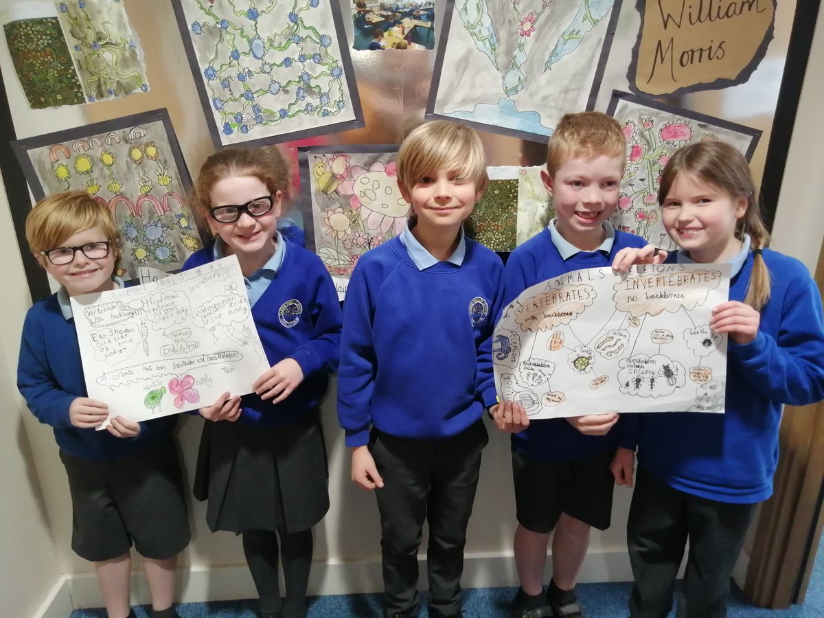 TarvinPrimary's tweet image. Wow! Lewis Class have created posters to show their learning on endoskeletons, exoskeletons and hydrostatic skeletons! #teamwork #skeletons #sciencestars