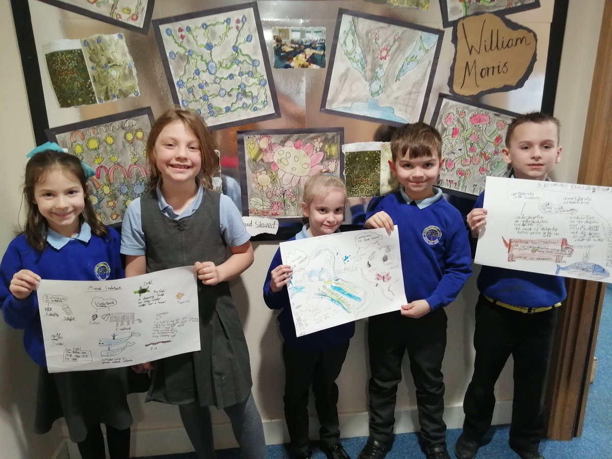 TarvinPrimary's tweet image. Wow! Lewis Class have created posters to show their learning on endoskeletons, exoskeletons and hydrostatic skeletons! #teamwork #skeletons #sciencestars