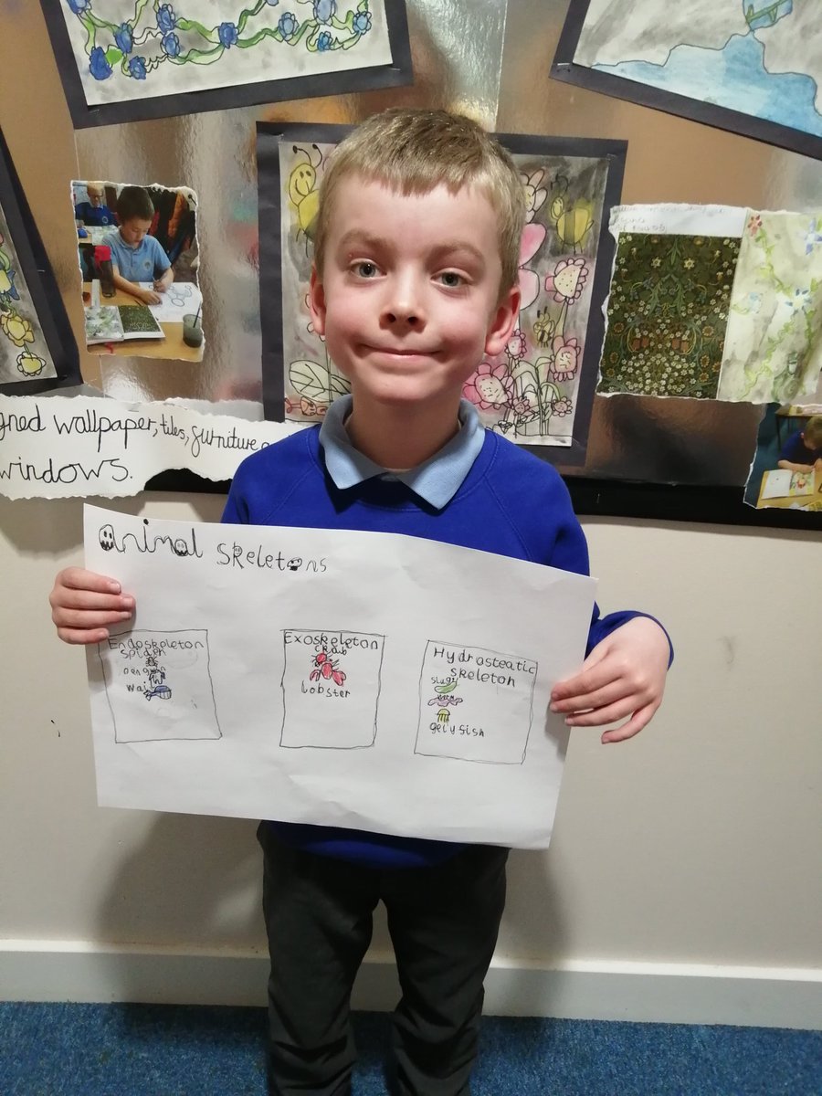 TarvinPrimary's tweet image. Wow! Lewis Class have created posters to show their learning on endoskeletons, exoskeletons and hydrostatic skeletons! #teamwork #skeletons #sciencestars