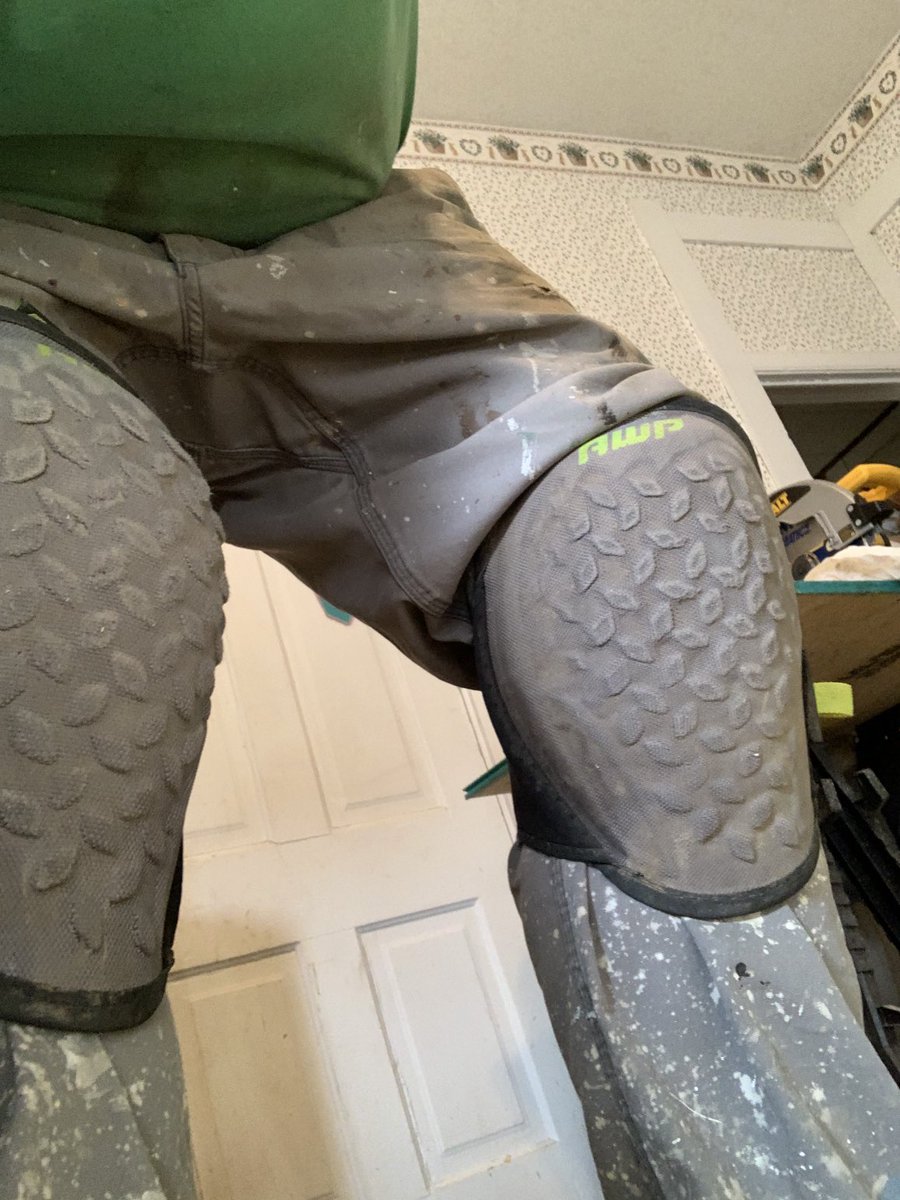 nparmenter37's tweet photo. #adamcarolla knee pads for Oswald https://t.co/gaatubMmQn