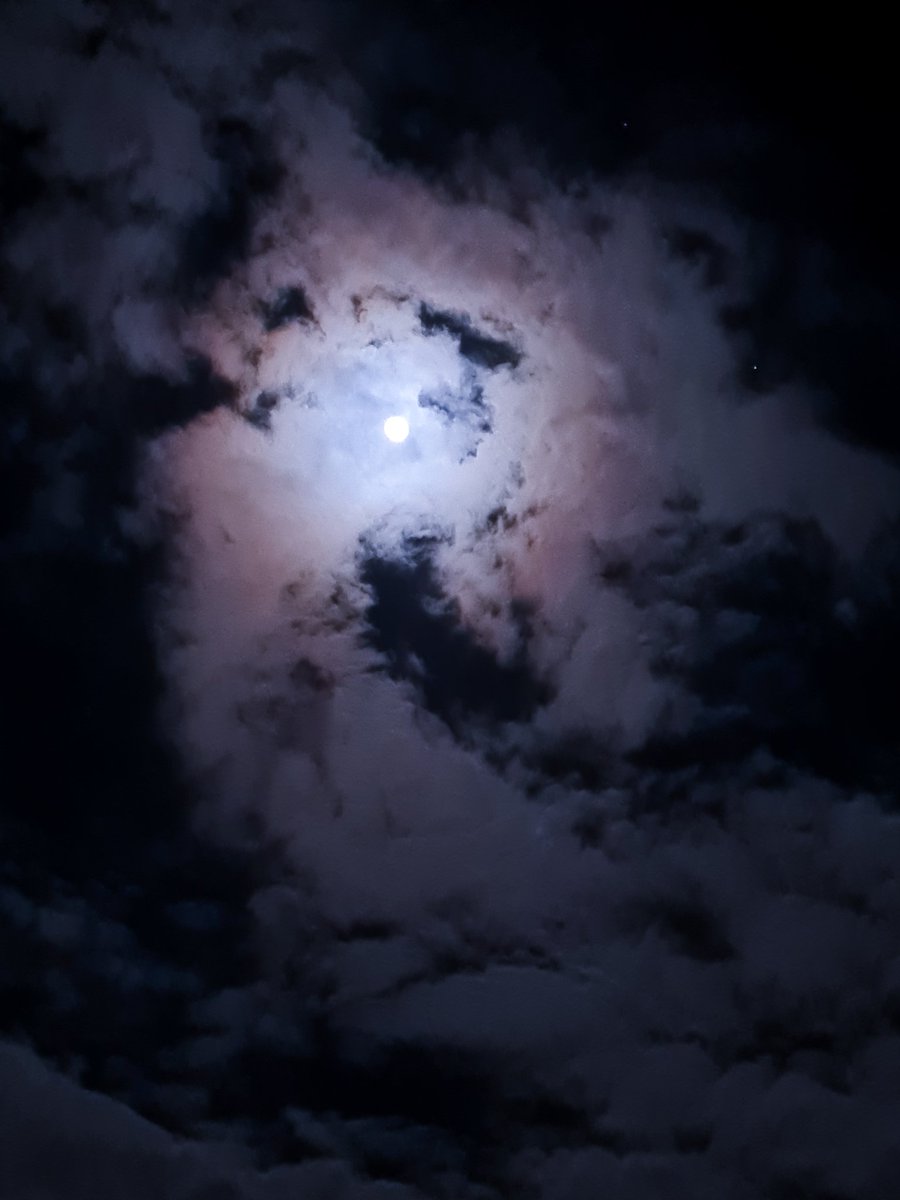 itzzRaveline's tweet photo. Just took this with my phone. It lowkey looks like a dragon https://t.co/8tvrlDvqlJ