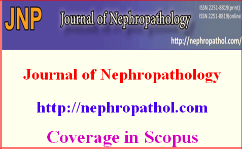 HamidNasri16's tweet photo. call for papers
#nephropathology #nephrology #kidney #renal https://t.co/5Qd8TxHigf