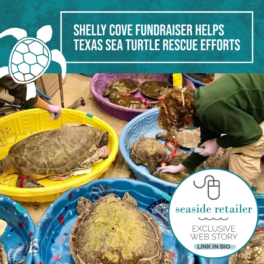 seasideretmag's tweet photo. When Sea Turtle Inc. needed help rescuing turtles during Texas' recent cold spell, Shelly Cove stepped in to help. 👏🐢Read about it at  https://t.co/8SBg5Jqo8h

#seasideretailermagazine #seasideretailer @ShopShellyCove @SeaTurtleInc #seaturtles #savetheseaturtles #texascold https://t.co/hNSqrXDJsd