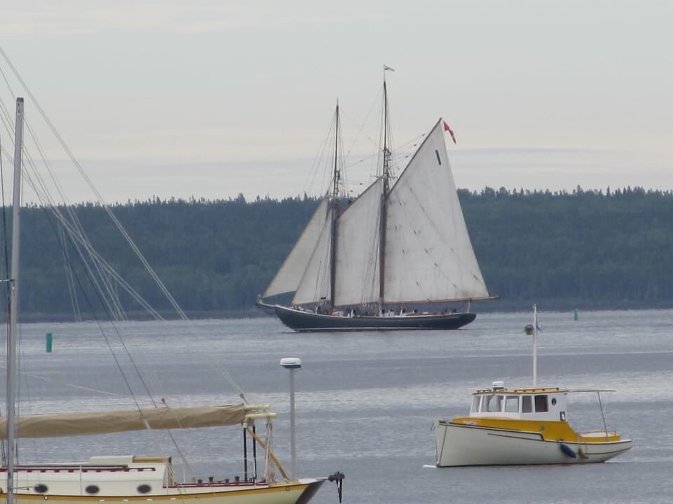jacquesmaillet's tweet photo. On this day 100 years ago, a famous schooner was launched in Lunenburg. Has been undefeated in every race entered and a proud part of our history. Though the original is now gone, her namesake daughter carries on her legacy. Happy #Bluenose100 https://t.co/ibHEAZoyqu