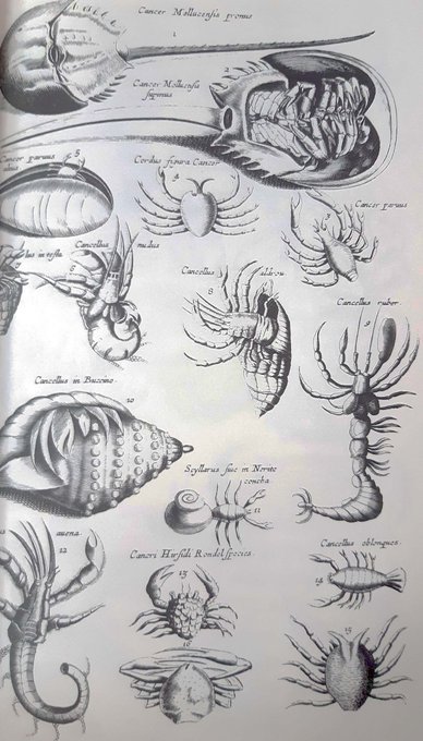 @CambrianBeast I think you should, look at this.
full name is "1300 real and fanciful animals,from seventeenth-century engravings" 