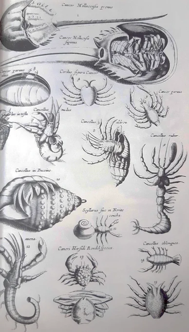 @CambrianBeast I think you should, look at this.
full name is "1300 real and fanciful animals,from seventeenth-century engravings" 