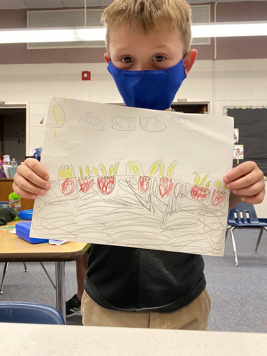 _Toni_withanI's tweet photo. So did a unit on Plants and Seeds. Which was super fun. This week we made seed necklaces, paper flowers with seeds (the Tiny seed). The best part was drawing our garden that we have been tending/raising for the last couple of weeks. #vpklife https://t.co/tOwVeMGhDw