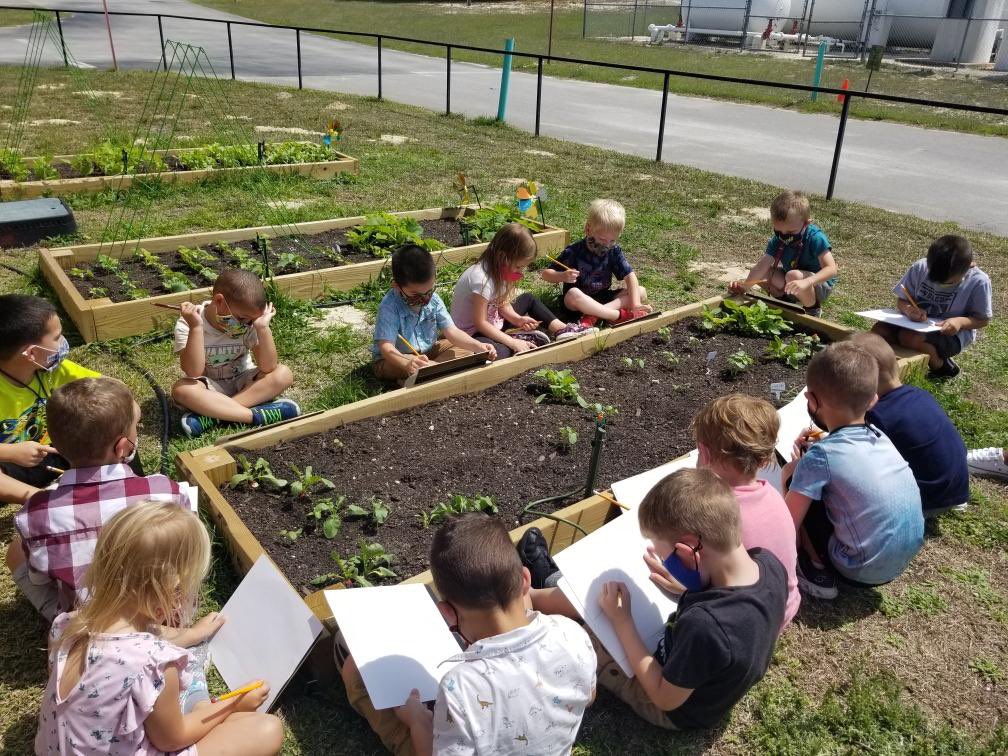 _Toni_withanI's tweet photo. So did a unit on Plants and Seeds. Which was super fun. This week we made seed necklaces, paper flowers with seeds (the Tiny seed). The best part was drawing our garden that we have been tending/raising for the last couple of weeks. #vpklife https://t.co/tOwVeMGhDw