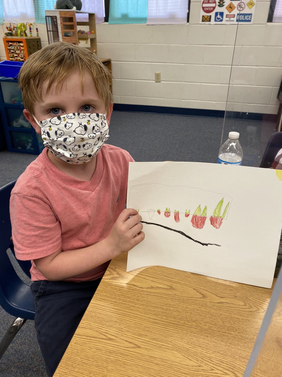 _Toni_withanI's tweet photo. So did a unit on Plants and Seeds. Which was super fun. This week we made seed necklaces, paper flowers with seeds (the Tiny seed). The best part was drawing our garden that we have been tending/raising for the last couple of weeks. #vpklife https://t.co/tOwVeMGhDw