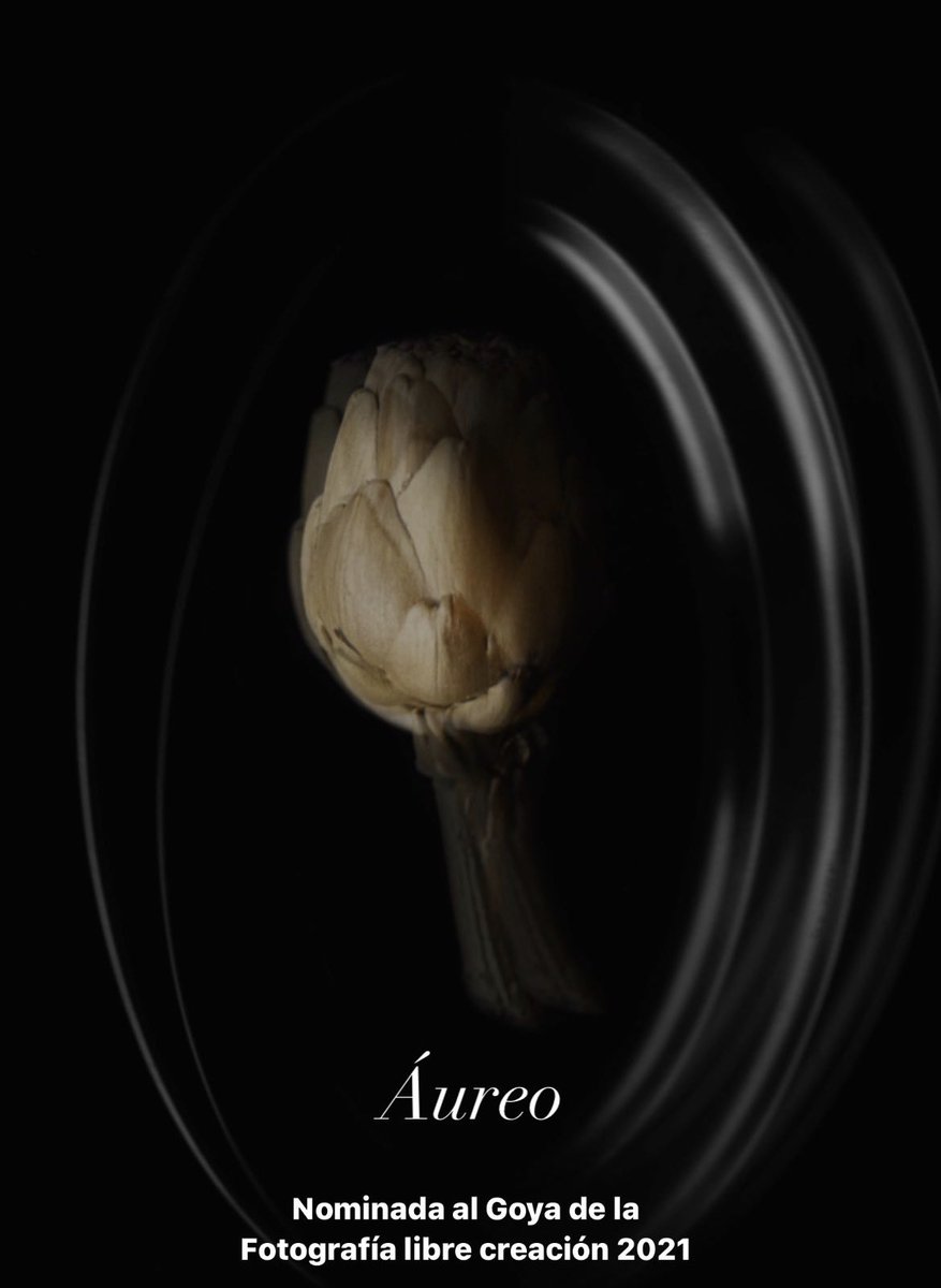 Os presento “Áureo” mi nueva fotografía nominada a un Goya de la fotografía en la categoría de libre creación 💫💫💫
Toca cruzar los dedos ☺️
AFPA- Premios Goya  #goya2021 #AFPA #nandoesteva