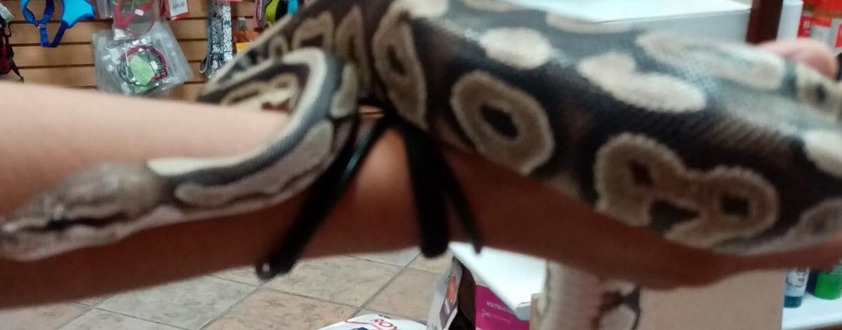 //Orochimaru is you? 😂